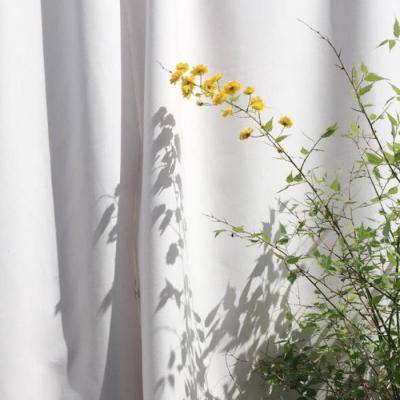 BOB体育综合官方平台官网App